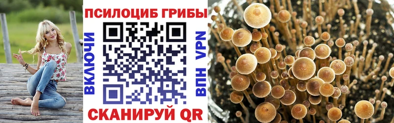 наркотики  Армянск  Галлюциногенные грибы мицелий 